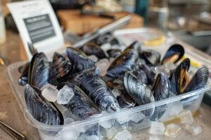 Comment congeler des moules correctement : guide pratique