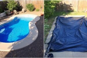 Bassin préformé ou bâche comparatif : guide et choix optimal