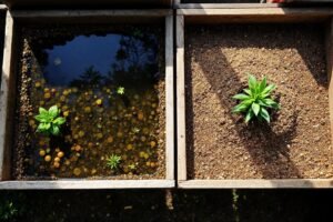 Substrat bassin naturel choix : guide pour bien choisir