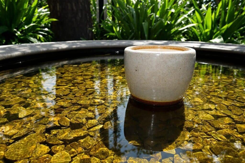 Vase bassin retirer naturellement : méthodes et astuces