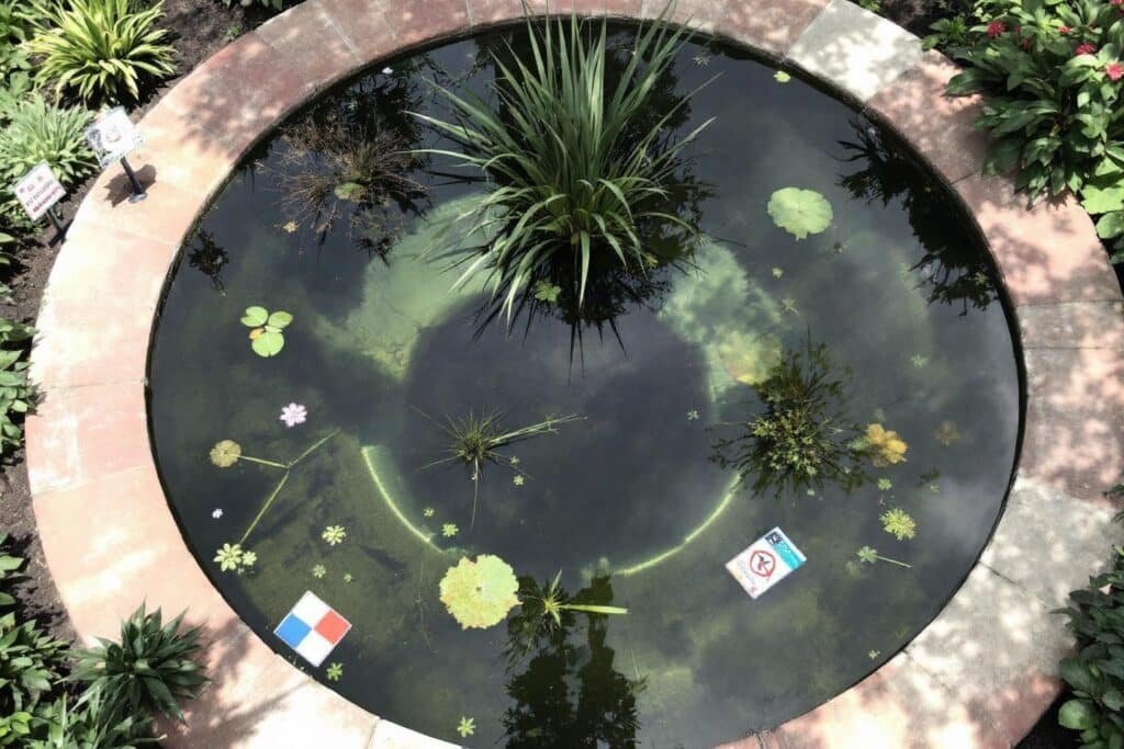 Réglementation bassin jardin France : guide complet et normes